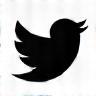 Twitter Icon